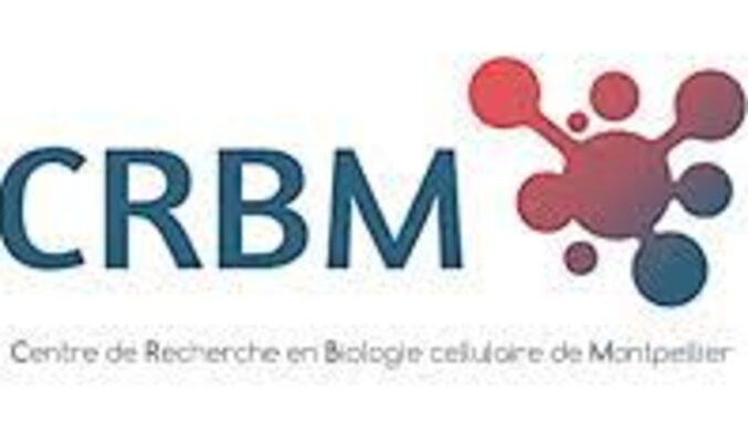 cnrs crbm.jpg